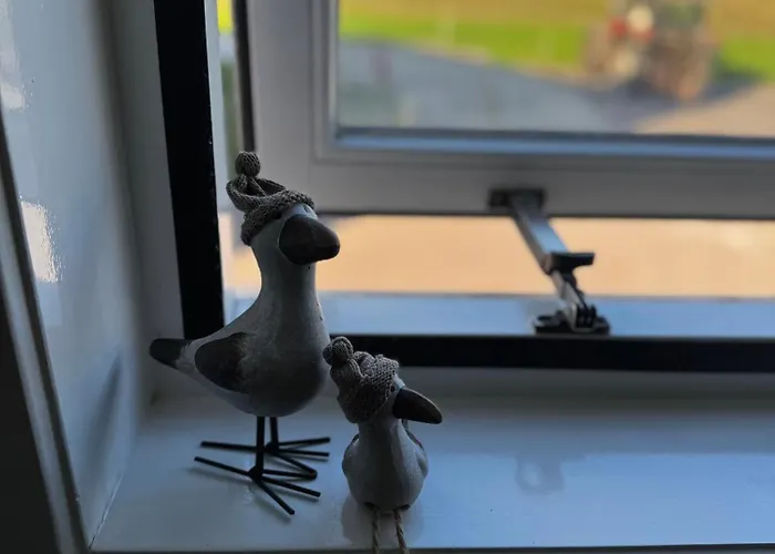 Bed En Bike Bed & Breakfast Oudeschild